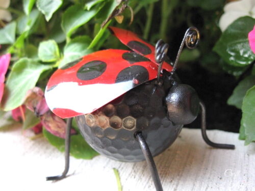 How To Make An Easy Ladybug Using Recycled Items - Craft Klatch