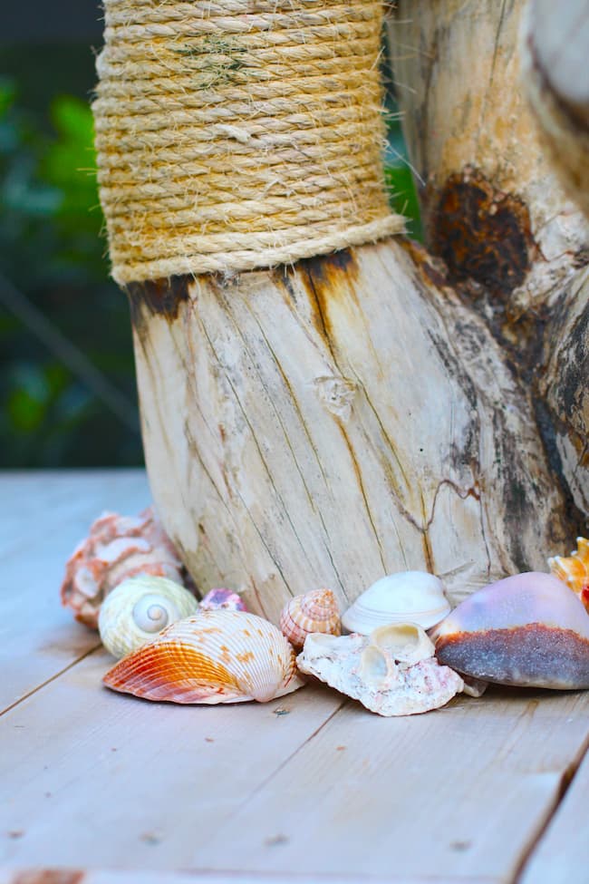 Shells and coral around the DIY cat tree diy base