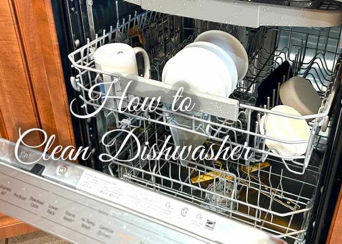 how to clean dishwasher thumbnail